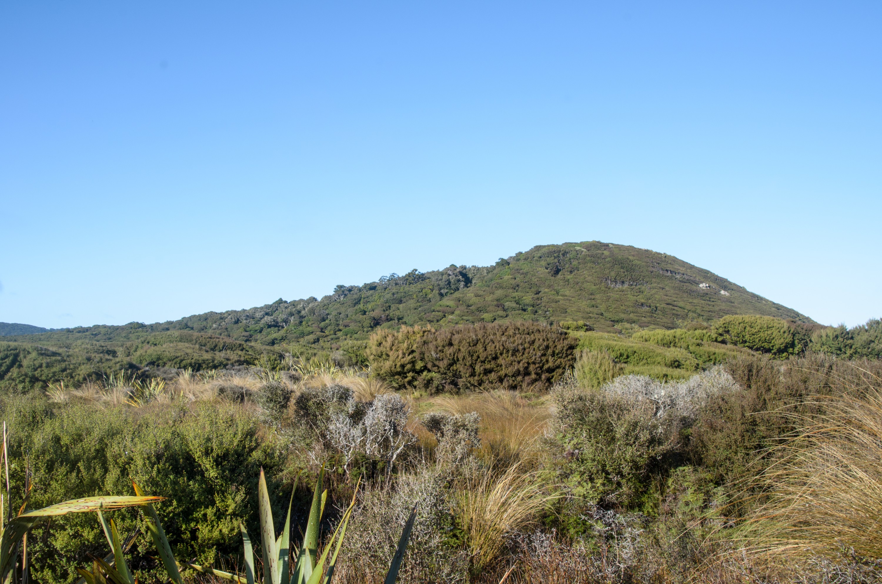 DSC_2130 – Adventure, Crispin, Freshwater, Freshwater Hut, Hut, Island, March 2017, Mason, Mason Bay, National Park, New, New Zealand, Rakiura, South, Stewart, Zealand